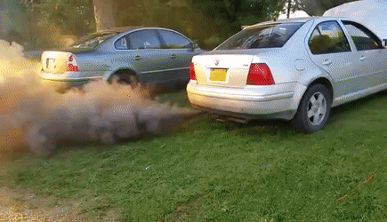 hollowwhimsicaldutchshepherddog-size_restricted