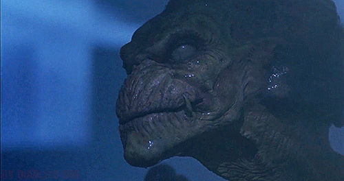 tumblr_nemvntcelg1rp0vkjo1_500